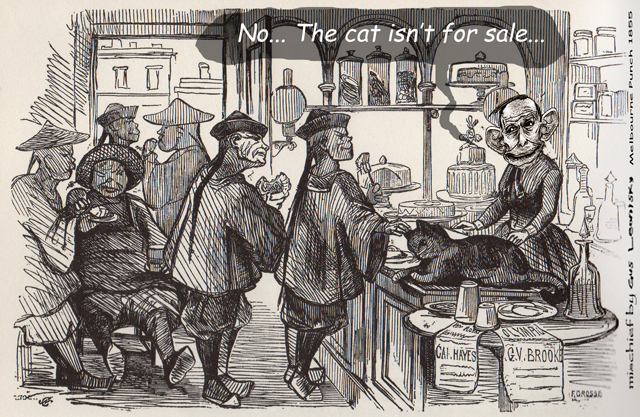 the cat is not for sale